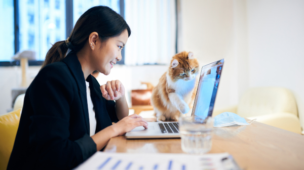 「画面に猫が横切るぐらいがちょうどいい」